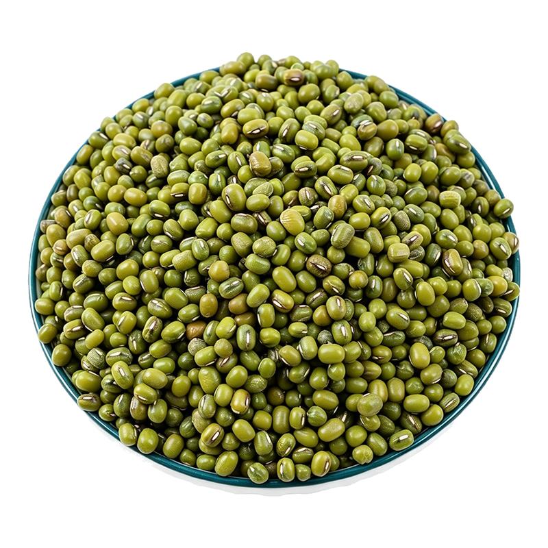当季老品种绿豆新鲜可发芽
