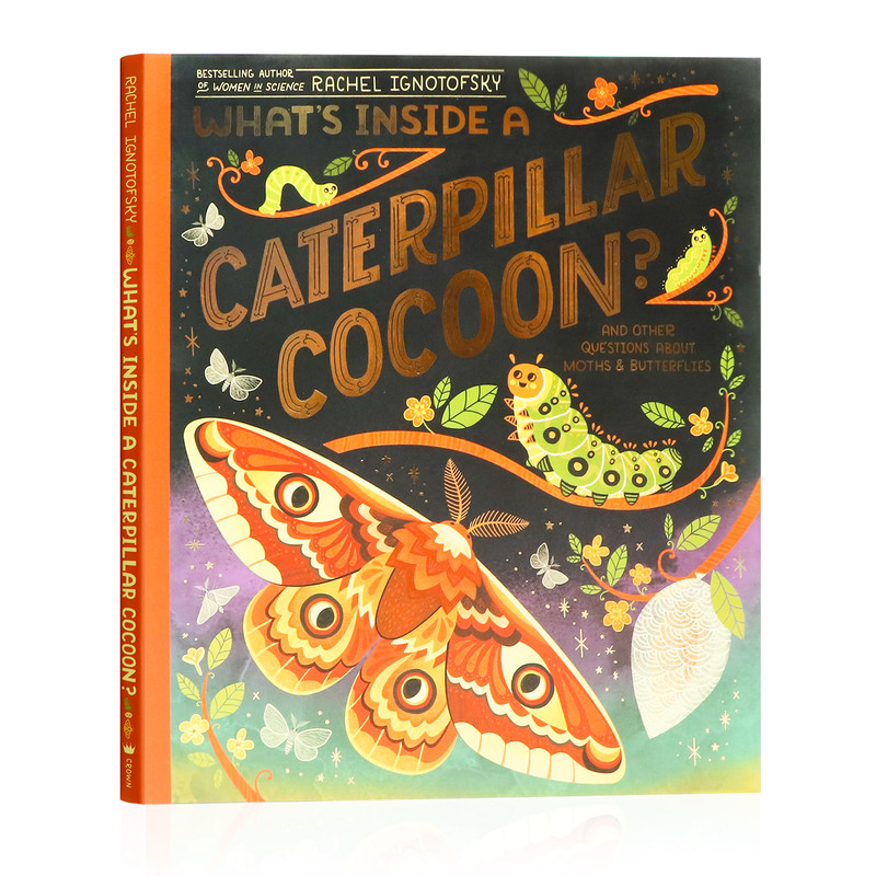 毛毛虫的茧里有什么英文原版 What's Inside a Caterpillar Cocoon 科普绘本趣味问答揭秘蝴蝶飞蛾成长蜕变自然科学启蒙读物