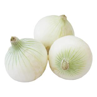 新疆特产美食白皮牙子洋葱芽子新鲜云南小水果蔬菜甜味可生吃不辣