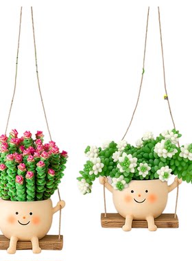 多肉植物室内盆栽壁挂装饰办公室绿植鸟巢蕨可爱笑脸秋千垂吊植物