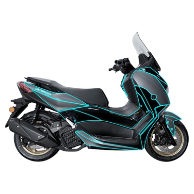 适用天鹰TX150/TX250隐形车衣