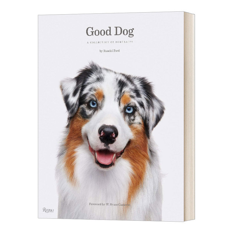 英文原版 精装 Good Dog 好狗狗摄影 精装 一条狗的使命作者前言 进口艺术 英文版 进口英语原版书籍
