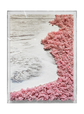梵克利玄关现代是海草实物画