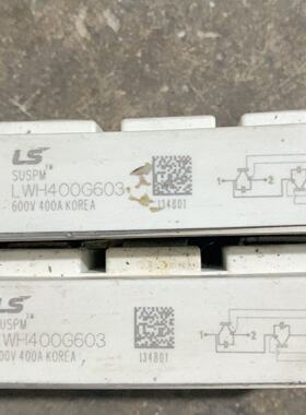 溢价-LS SUSPM模块LWH400G603，600V 400A