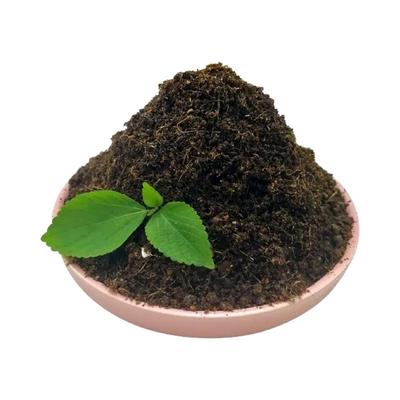 松针腐殖土种菜养花营养土