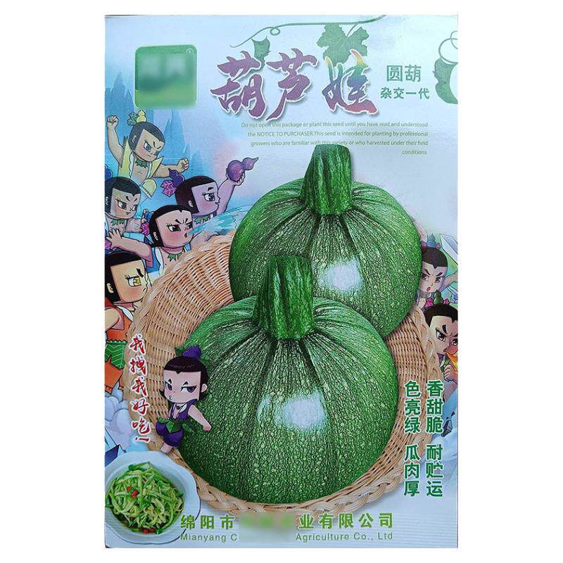 葫芦娃10g小圆南瓜倭瓜番瓜饭瓜种子孑籽高产番北瓜秘蜜本春夏