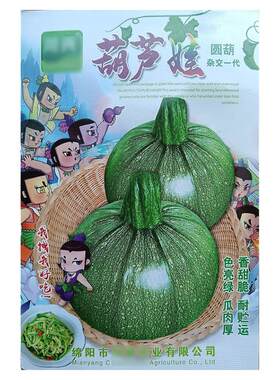 葫芦娃10g小圆南瓜倭瓜番瓜饭瓜种子孑籽高产番北瓜秘蜜本春夏