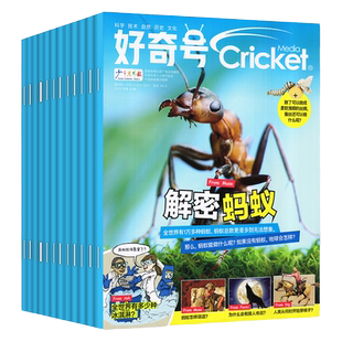 【全年订阅组合】好奇号杂志+博物/商界少年/环球少年地理2026年1-12月 万物问天少年历史喵青少年科学星球科普百科全书H2025过刊