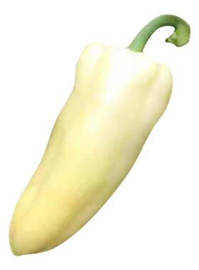 蔬菜白富美小辣椒四季大棚种子
