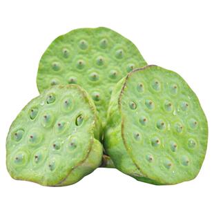 莲童宣莲水果莲蓬老人新上市清甜莲子米现摘现发顺丰冰袋包邮运输