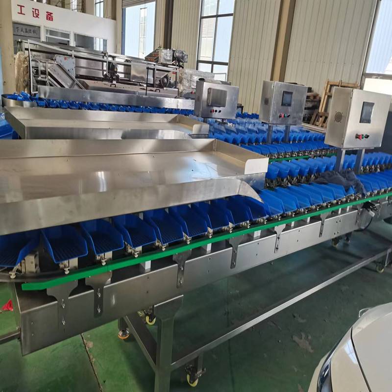 小龙虾分选机智能重量分级机重量分选机海参鱼海鲜称重自动分拣机