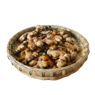 四川乐山本地生姜小黄姜老姜月子姜23年新姜现挖高山土姜坏果包赔