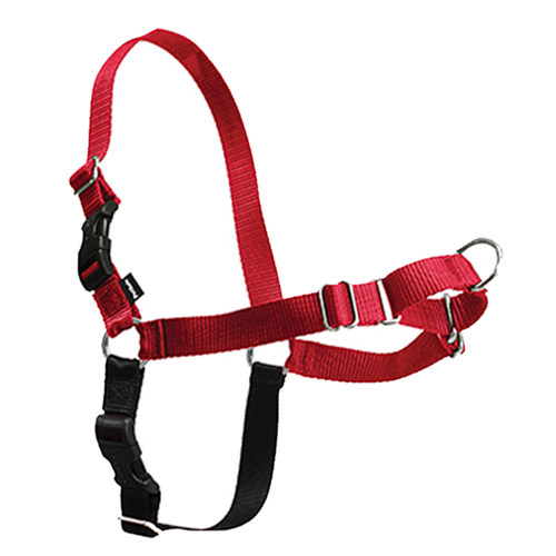 美国PetSafe easywalk 宠物狗防爆冲胸背带 训练胸背 牵引绳项圈