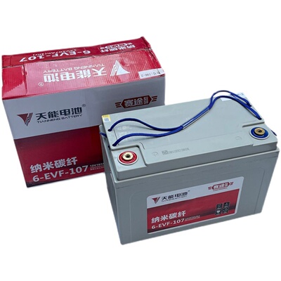 厂家直销107AH12V天能电动四轮车