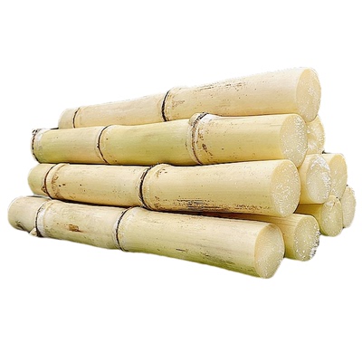 广西木格白玉甘蔗玻璃脆新鲜水果