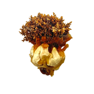 野生海参花500g干货加拿大红极参冰岛淡参嘴散装干鲜炖汤水产包邮