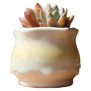 新款冰裂釉彩虹渐变多肉花盆特价清仓个性创意简约透气群生小花器