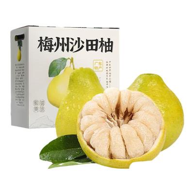 正宗广东梅州沙田柚礼箱装