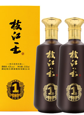 枝江王真年份浓香白酒500ml*2