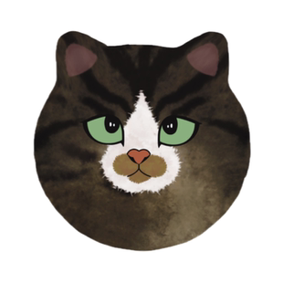 6折!李喜猫原创手绘胖猫头异形硅藻泥环保吸水杯垫餐垫