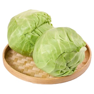 正宗农家蔬菜新鲜现砍甘蓝卷心菜包心菜洋白菜圆白菜包菜甘蓝菜