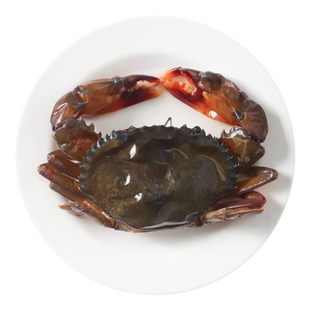 缅甸软壳蟹原装进口青蟹1000g/盒6只冷冻螃蟹梭子蟹顺丰包邮