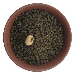 西蜀堂手工四喜鸟饲料提升上性大唱四喜鸟食饲料打彩四喜鸟鸟饲料