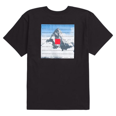 TNF北面男40周年纪念版纯棉透气宽松休闲短袖T恤NF0A8BXY