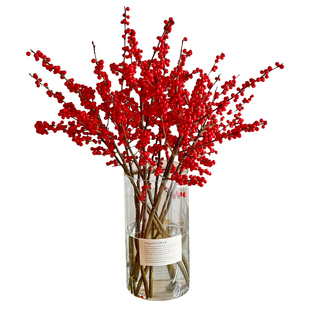 北美冬青鲜切红果银柳年宵花卉室内水培植物盆栽鲜花切枝真花水养