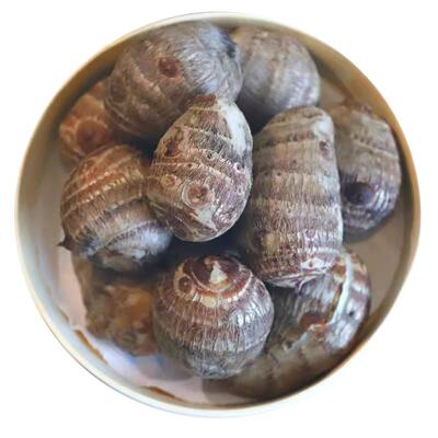 山东牛奶小芋头9斤新鲜毛芋头