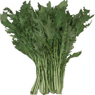 新鲜红菜苔湖北现摘洪山菜苔紫菜苔嫩粗菜心打霜红油菜薹5斤顺丰