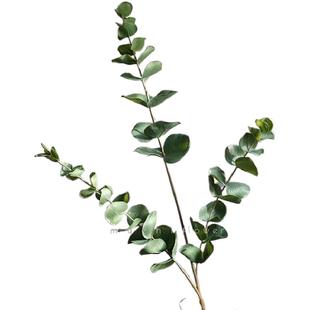 苹果尤加利叶仿真花束高级感逼真假花永生花轻奢高端客厅插花摆设