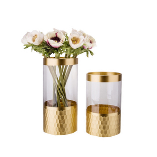轻奢透明圆柱形金边水培金色玻璃花瓶富贵竹软装家居饰品桌面摆件