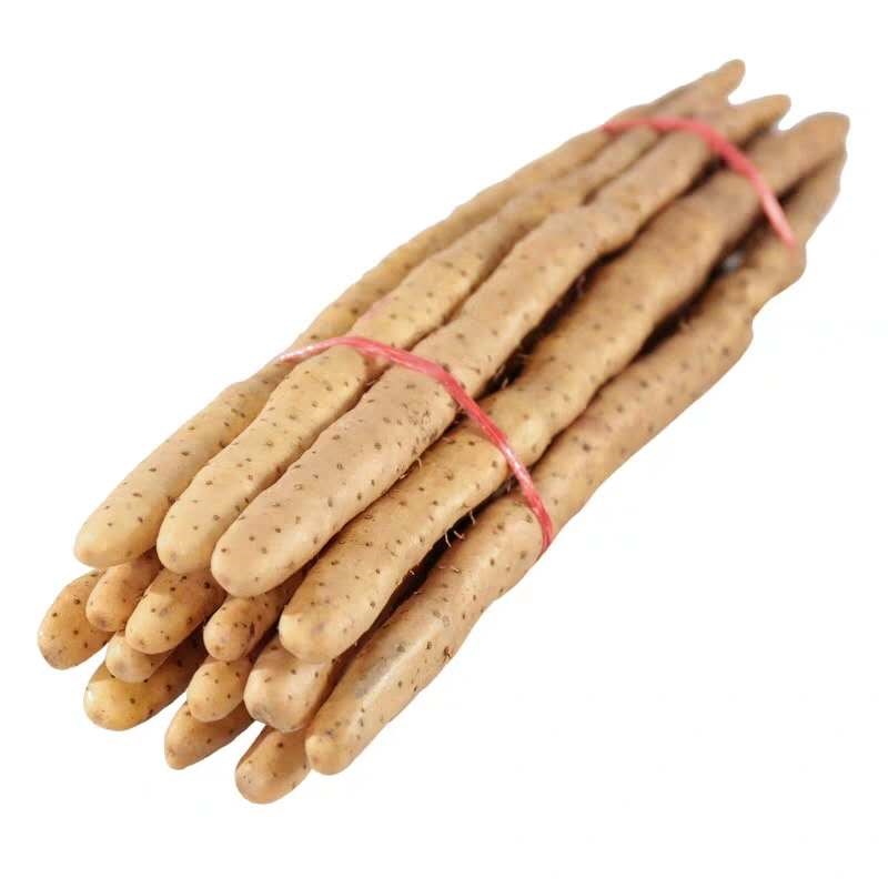 河北小白嘴山藥新鮮5斤農(nóng)家蔬菜挖鐵桿淮山鐵棍山藥10非溫縣壚土