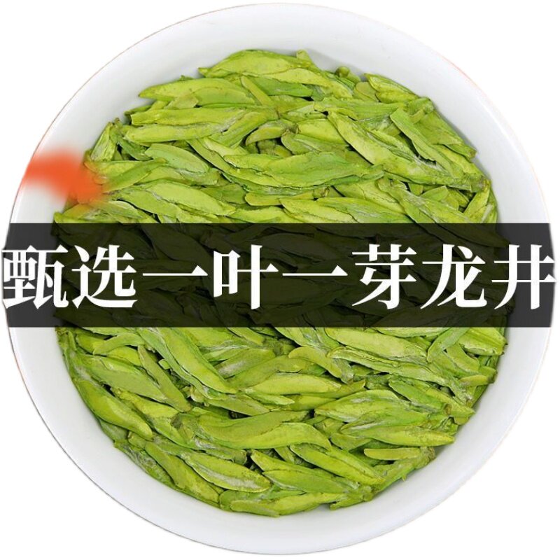 豆香型2025新茶预售龙井茶杭龙井茶（非西湖）