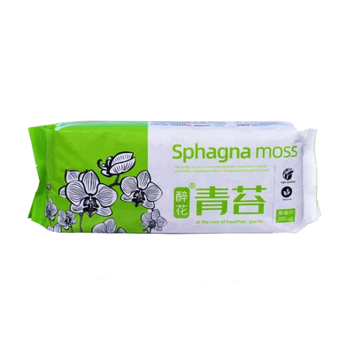 无杂质干水苔人工挑选