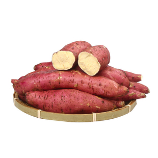 【顺丰可选】正宗南沙一点红番薯板栗红薯现挖软糯农家自种蜜薯