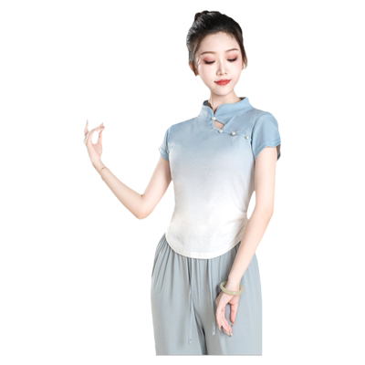 古典舞舞蹈服中国舞演出服现代舞新款练功服舞蹈生秋季长袖上衣女