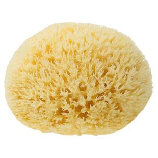 婴儿洗脸海绵希腊天然海绵洗脸面扑柔软洁面扑清洁天然蜂窝海藻棉