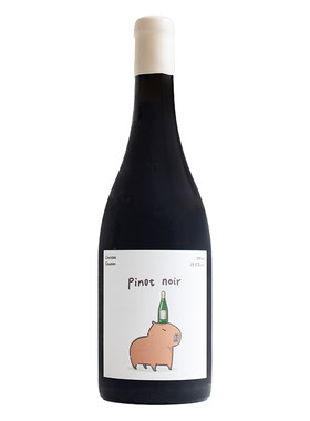 宁夏尚颂堡卡皮巴拉干红酒750ml