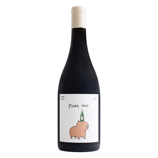 好喝又可爱！卡皮巴拉红酒 | 中国宁夏尚颂堡黑皮诺干红 红葡萄酒