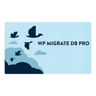 WP Migrate Pro 专业版 简单一键式迁移备份搬家WordPress插件
