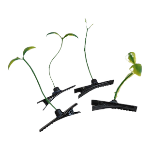 头上长草创意头饰小草发卡搞笑搞怪趣味表情包发夹子直播道具留人