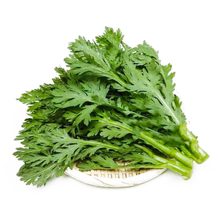 皇帝菜中叶茼蒿种子小叶茼蒿菊菜种茼蒿菜种籽种四季蔬菜孑菜籽