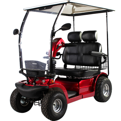 威之群4031b老年代步车双人