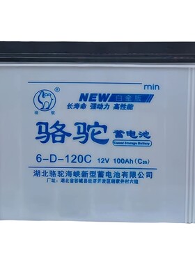 骆驼水电瓶6-D-120c电动三轮车