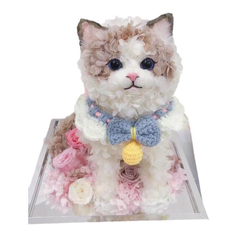 MONET猫咪狗狗定制不凋谢的真花