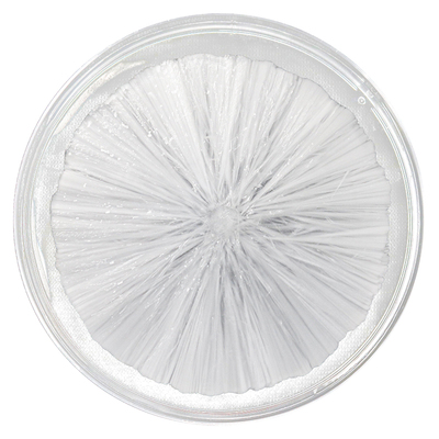 点水成冰滴水成山儿童小实验套装