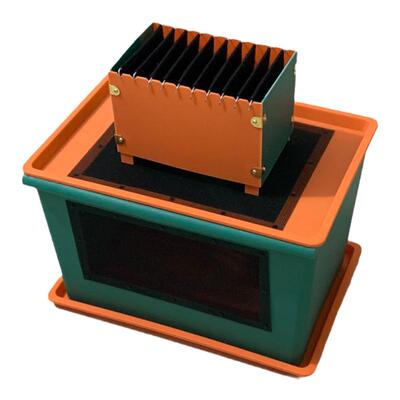 蟋蟀专用养殖架白蟋蟀养殖盒爬宠杜比亚针头蟋蟀饲养箱油葫芦饲料