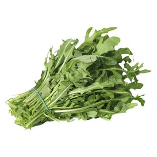 意大利芝麻菜种子 Arugula火箭生菜水培芽苗菜西餐沙拉蔬菜Rocket